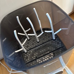 ポチット　ピジョンの画像