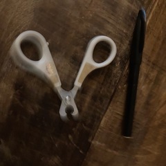 ●難あり●無料●ペット用爪切り●の画像