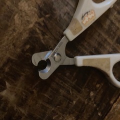 ●難あり●無料●ペット用爪切り●の画像