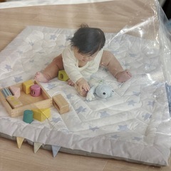 定価2990円 ベビーマットの画像