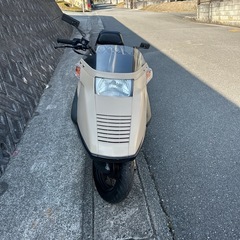 ホンダフュージョンタイプX250人気色！の画像