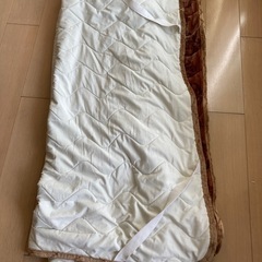 美品処分！肌触りがよく暖かい敷毛布の画像