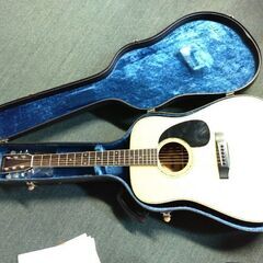 Morrisギターの画像