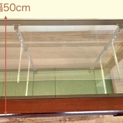 ショーケース　【配送可能】　アンティーク調　天然木フレーム　保護マット付き　12/21までの画像