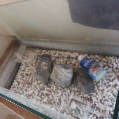 水槽、横６０センチ、台付き、２セットあり、ライト付きの画像