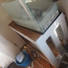 水槽、横６０センチ、台付き、２セットあり、ライト付きの画像