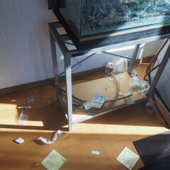 水槽、横６０センチ、台付き、２セットあり、ライト付きの画像