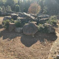 庭石、無料で差し上げます。の画像