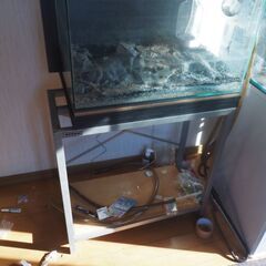 水槽、横６０センチ、台付き、２セットあり、ライト付きの画像