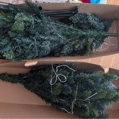 クリスマスツリーの画像