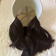 帽子付きウィッグの画像