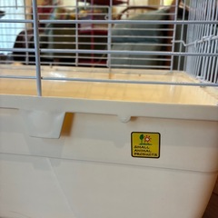 モルモット等のゲージの画像