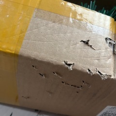 クリスマスツリー150センチの画像