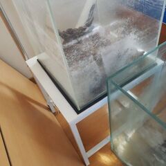 水槽、３０x３０x３０、台付きの画像
