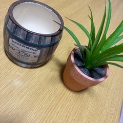 フェイク　観葉植物の画像