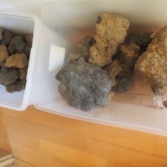 水槽用石、結構あります、お好きな量お持ちください、の画像