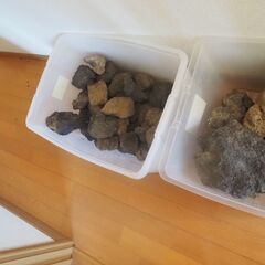 水槽用石、結構あります、お好きな量お持ちください、の画像