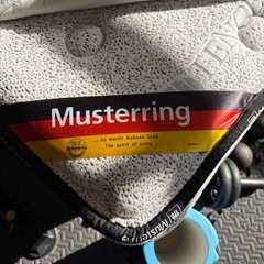 Musterring セミシングル スプリングマットレスの画像
