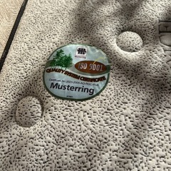 Musterring セミシングル スプリングマットレスの画像