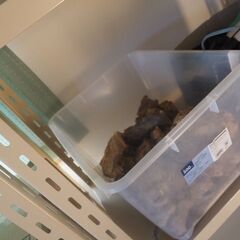 水槽用石、結構あります、お好きな量お持ちください、の画像