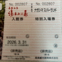 ナガシマスパーランド入場券と湯あみの島入場券2枚セットの画像