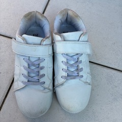 キッズ　スニーカー　21.5cmの画像