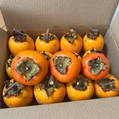 渋柿　大12個+甘柿5個の画像