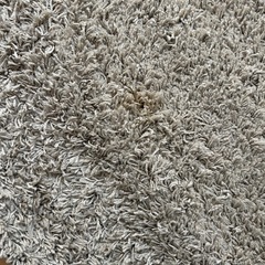 IKEAラグの画像