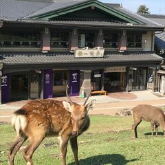 【少人数2月15日開催】堺の伝統工芸士に学ぶ包丁研ぎ体験