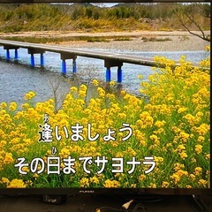 カラオケ機器　マイク　onstage の画像