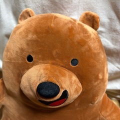 肌触りの良いクマの画像