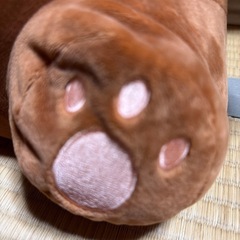 肌触りの良いクマの画像