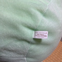 トカゲのぬいぐるみ
の画像