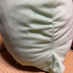 トカゲのぬいぐるみ
の画像