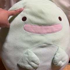 トカゲのぬいぐるみ
の画像