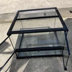 爬虫類ケージの画像