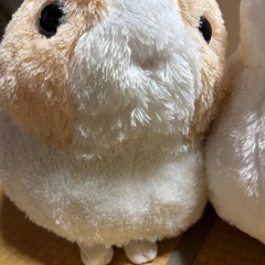 丸っこいうさぎぬいぐるみふたつの画像