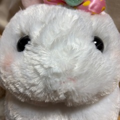 丸っこいうさぎぬいぐるみふたつの画像