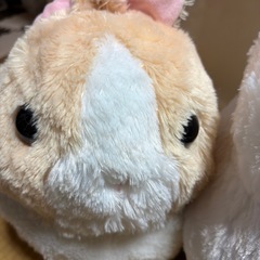 丸っこいうさぎぬいぐるみふたつの画像