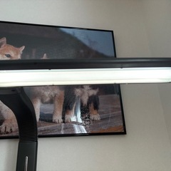 スタンドライト　ディスクライト　同時購入で無料の画像