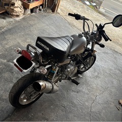 中華モンキーの画像