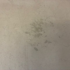 LOWYA L字ソファの画像