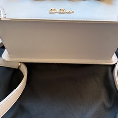 リズリサバッグの画像