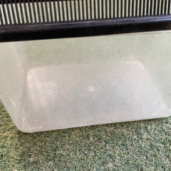 虫かご3つの画像