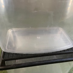 虫かご3つの画像