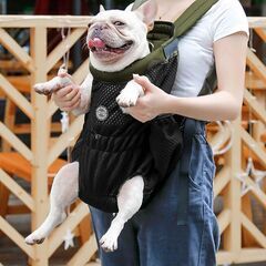 ペット用 2WAY キャリーバッグ リュック型 ピンク✖️グレイの画像