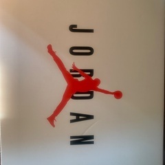 NIKE JORDAN 27cm 箱あり　12／10迄の画像