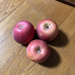 家庭用りんごフジ3個③の画像
