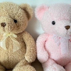 くまのぬいぐるみ　2つ　の画像