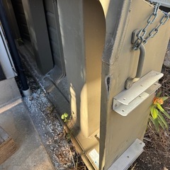 バスボートの画像